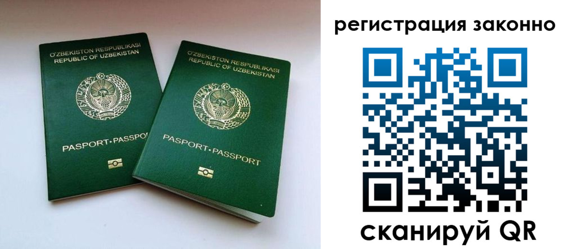 прописка гарантия в Ермолино